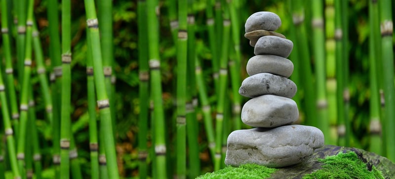 Zen Garden Design
